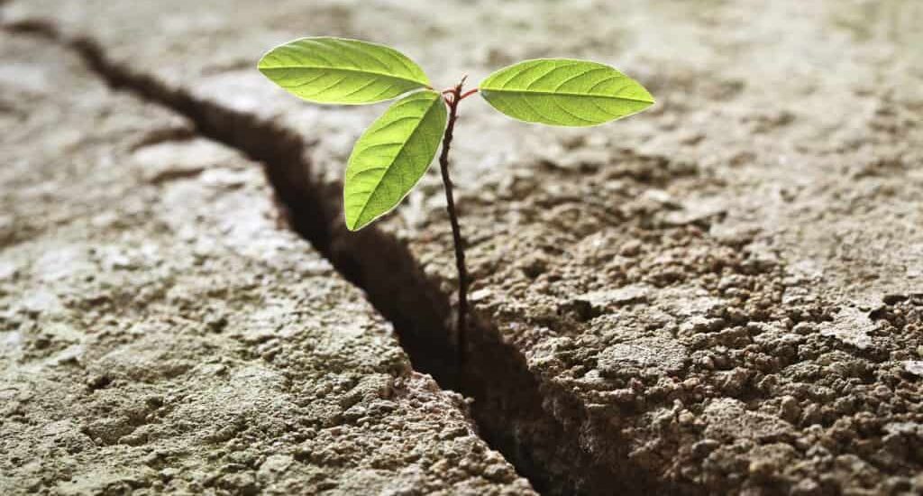 EHS Management System