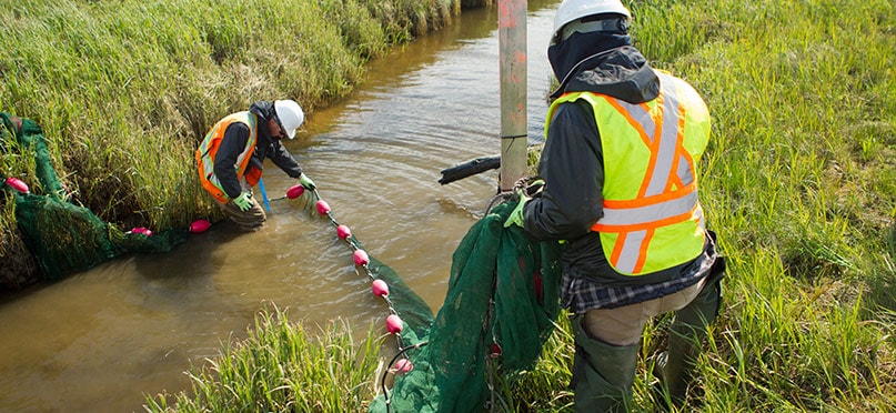 Environmental Impact Assessment