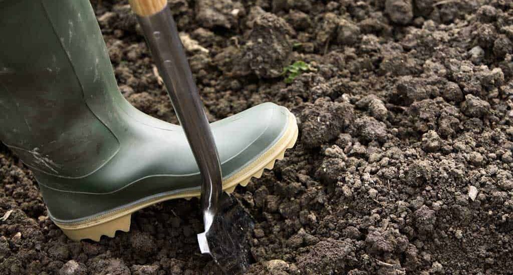 Environmental Due Diligence