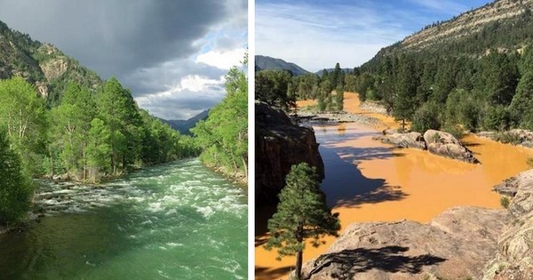 Environmental Remediation